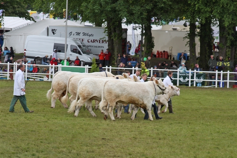 WCC Nagy-Britannia 2012 - Helge